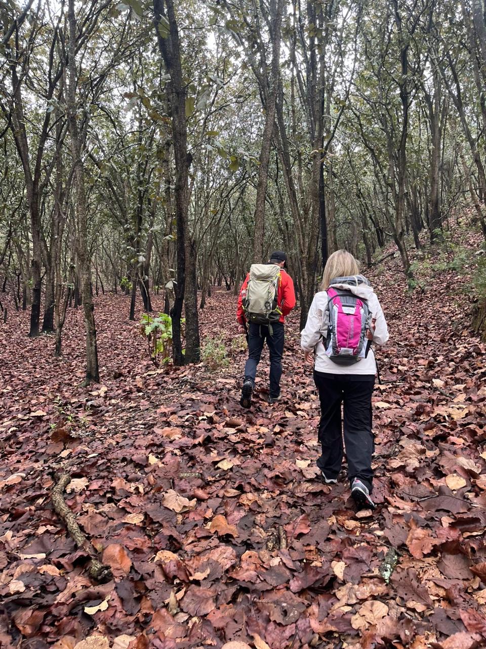 Movimiento consciente en naturaleza