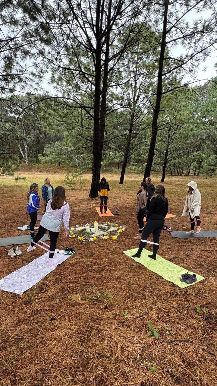 Meditación grupal en el bosque